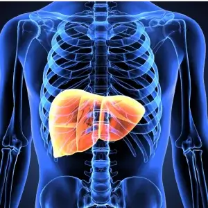 Lee más sobre el artículo Aceite de Krill: La clave para un hígado saludable y la reducción de la inflamación
