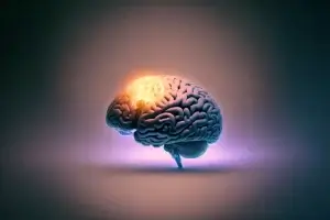 Lee más sobre el artículo Secretos para una mente brillante gracias a un superalimento